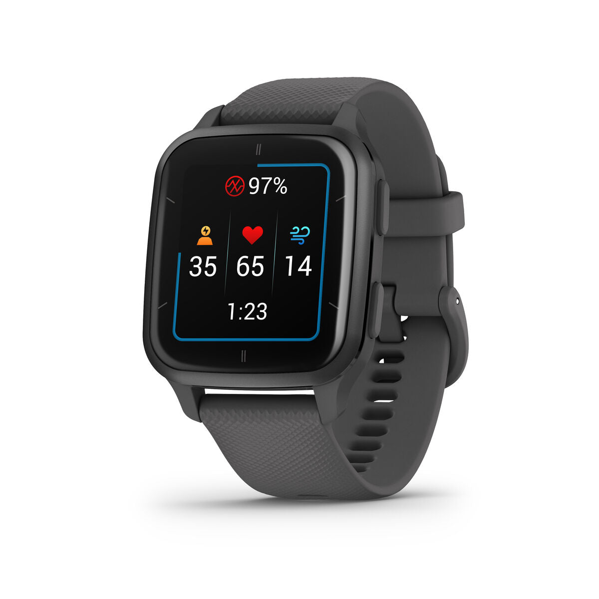 Smartwatch GARMIN 1,4" Cinzento Ardósia