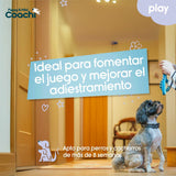 V2HED7AB9E6902A8D9A6AE5C390E295D5F3R5717662P3