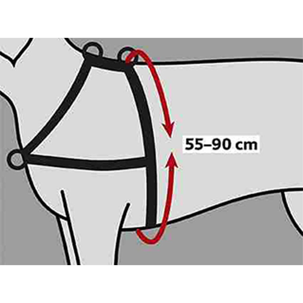 V6H809A46D470985D80A300594FC6EEC9A5R7441882P2