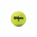 Bolas de Ténis Wilson Championship XD (3 pcs) - EcoNest