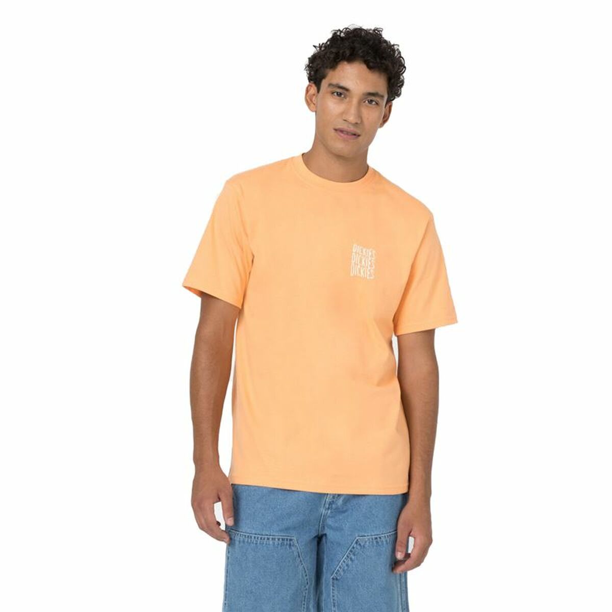 Camisola de Manga Curta Dickies Creswell Laranja Homem - EcoNest