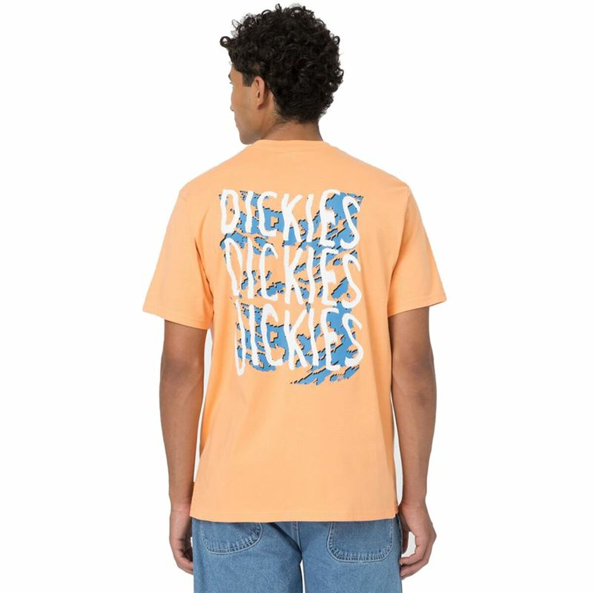 Camisola de Manga Curta Dickies Creswell Laranja Homem - EcoNest