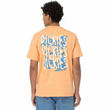 Camisola de Manga Curta Dickies Creswell Laranja Homem - EcoNest