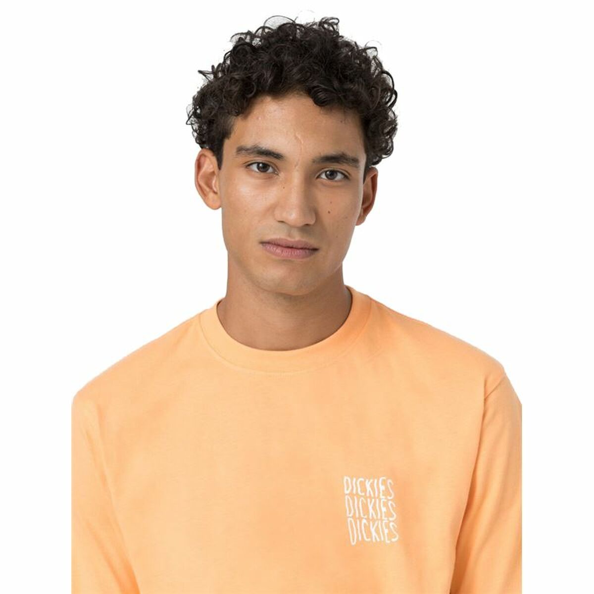 Camisola de Manga Curta Dickies Creswell Laranja Homem - EcoNest