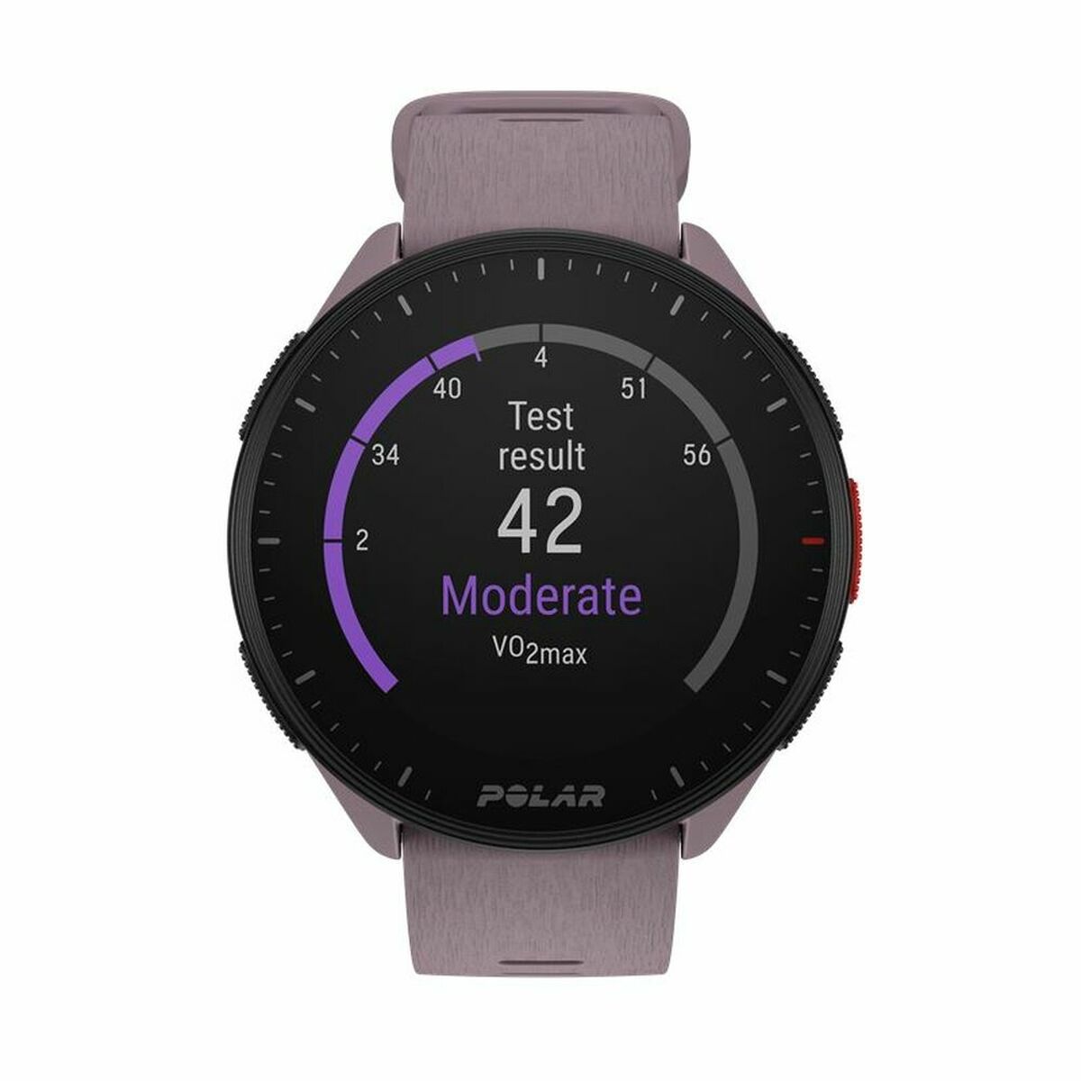 Smartwatch con Podómetro Running Polar Morado 1,2"