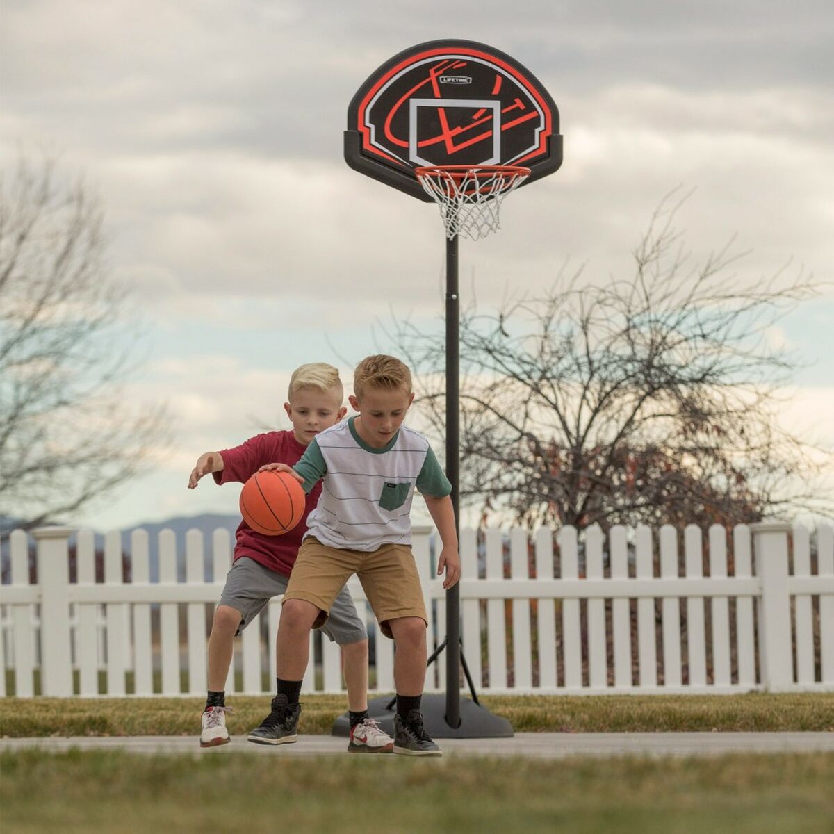 Cesto de Basquetebol Lifetime 81 x 229 x 83 cm - EcoNest