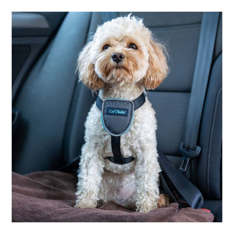 Arnês para Cães Company of Animals CarSafe Preto XS - EcoNest