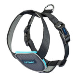 Arnês para Cães Company of Animals CarSafe Preto Tamanho S - EcoNest