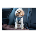 Arnês para Cães Company of Animals CarSafe Preto Tamanho S - EcoNest