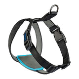 Arnês para Cães Company of Animals CarSafe Preto Tamanho S - EcoNest