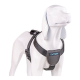 Arnês para Cães Company of Animals CarSafe Preto Tamanho S - EcoNest