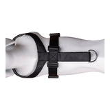 Arnês para Cães Company of Animals CarSafe Preto L - EcoNest