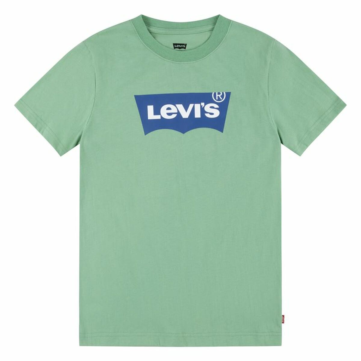 T-shirt Levi's Batwing Meadow Água-marinha - EcoNest