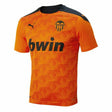 T-Shirt de Futebol de Manga Curta Homem Puma Valencia CF 2 - EcoNest