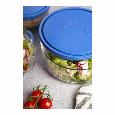 Lancheira Borgonovo Igloo Azul 2,2 L (6 Unidades) (Ø 22cm) - EcoNest