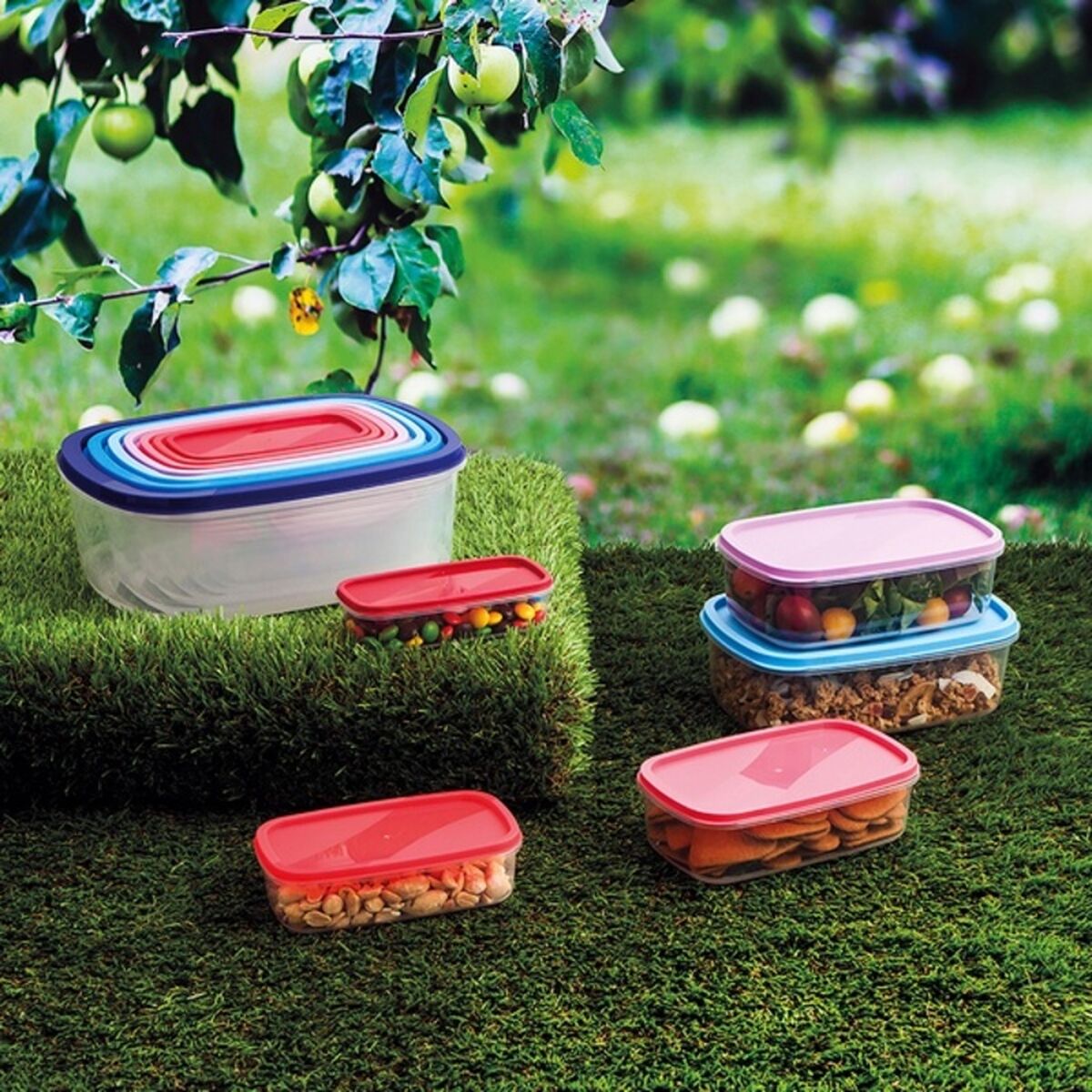 Conjunto de Lancheiras Quid Habitat (7 pcs) Plástico - EcoNest