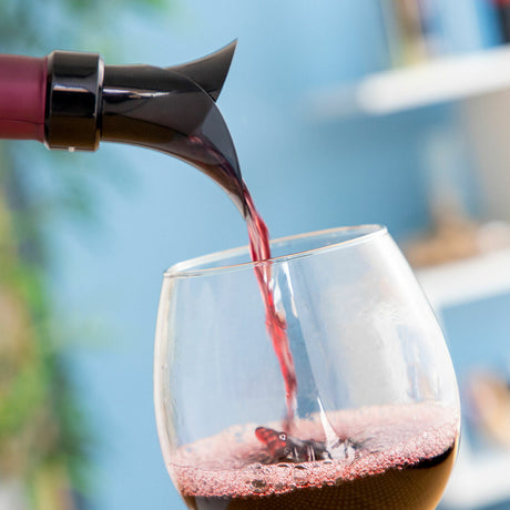Tampa Dispensador Arejador de Vinho 2 em 1 Wintopp InnovaGoods - EcoNest