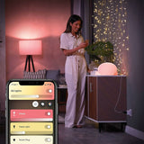 Tomada Inteligente Philips Hue Bluetooth - EcoNest