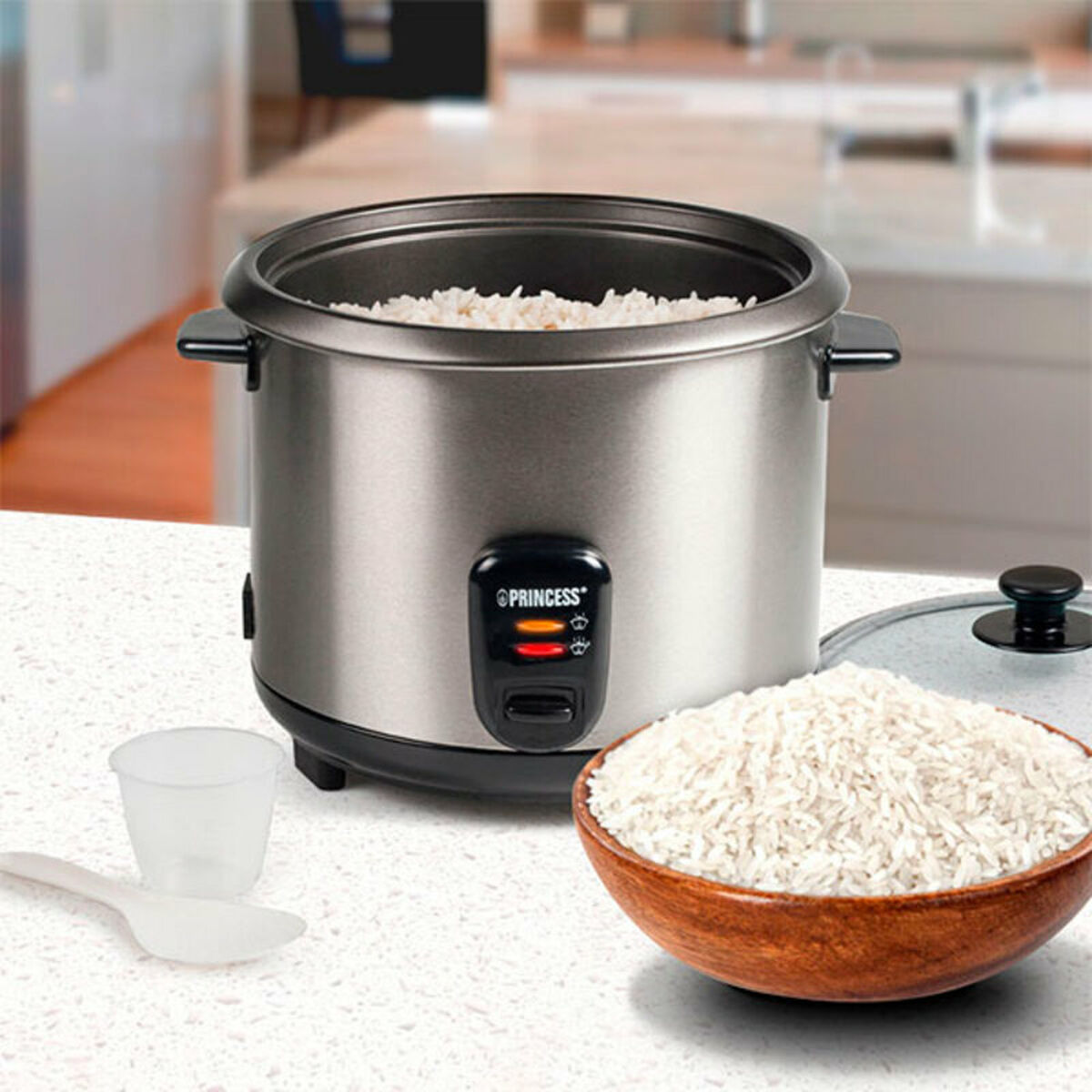 Panela de Arroz Princess 01.271950.01.001 700 W - EcoNest