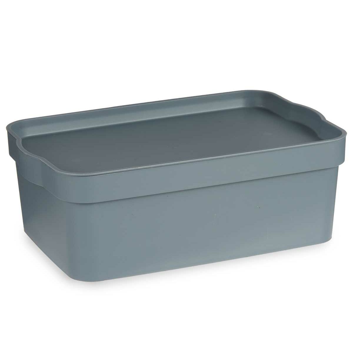 Caixa de Armazenagem com Tampa Cinzento Plástico 6 L (21,5 x 11 x 32 cm) (12 Unidades) - EcoNest