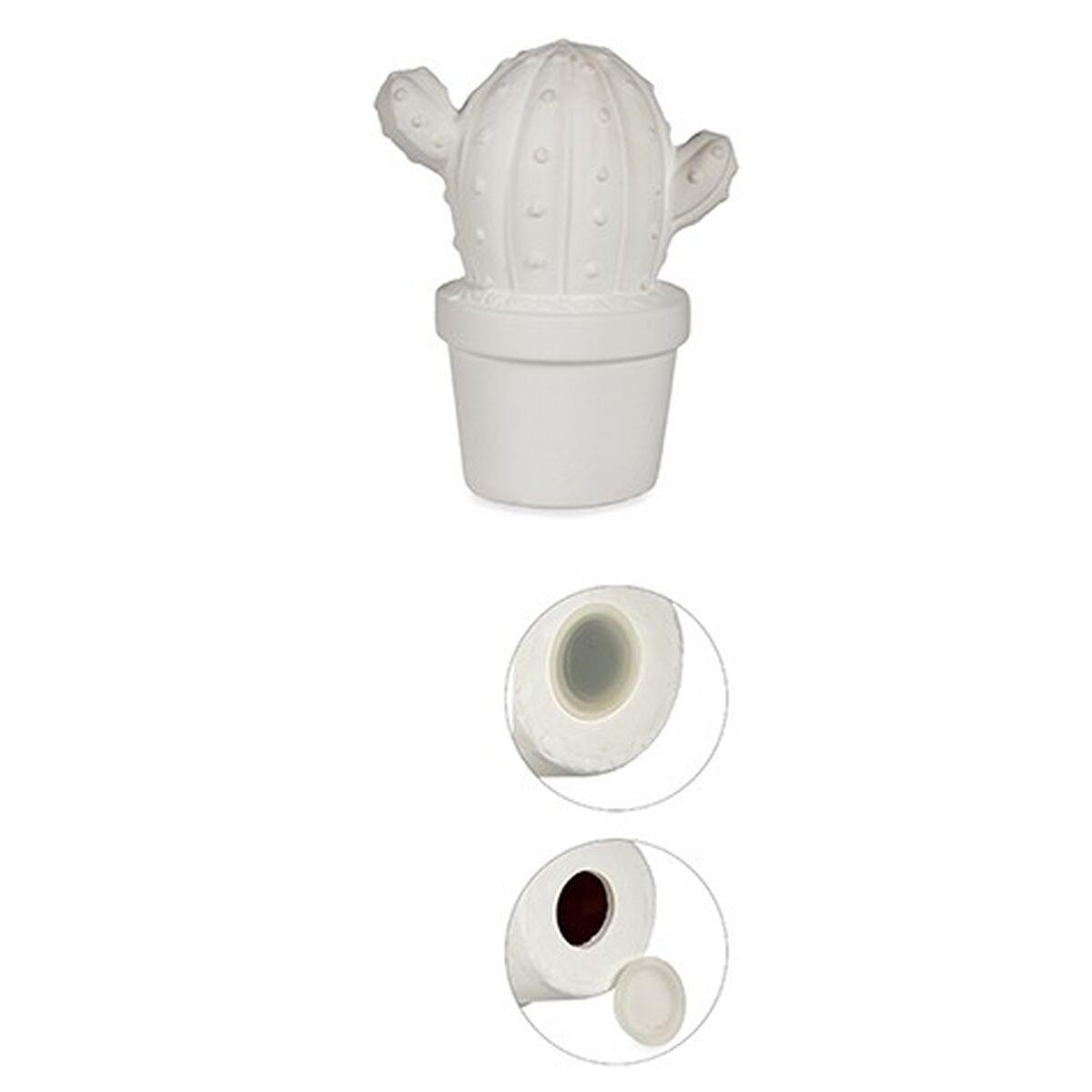 Caixa de pintura Catos 12 x 21 x 17 cm (12 Unidades) - EcoNest