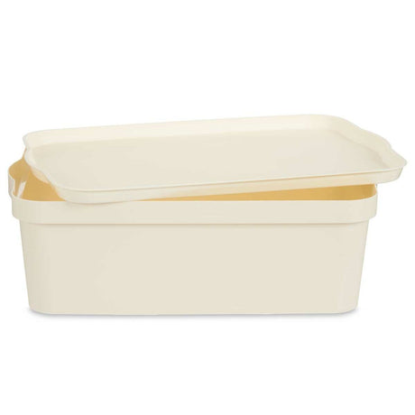 Caixa de Armazenagem com Tampa Creme Plástico 14 L 29,5 x 14,3 x 45 cm (12 Unidades) - EcoNest
