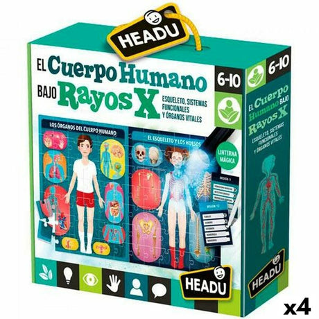 Jogo Educação Infantil HEADU El cuerpo humano Rayos X (4 Unidades) - EcoNest