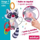 Peluche Chocalho Winfun Guaxinim 14,5 x 20 x 9,5 cm (6 Unidades) - EcoNest