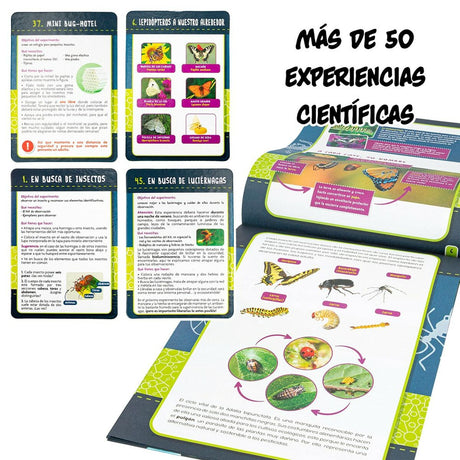 Jogo de Ciência Lisciani Insectos ES (6 Unidades) - EcoNest