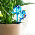 Globos de Rega Automática Aqua·Loon InnovaGoods 2 Unidades - EcoNest