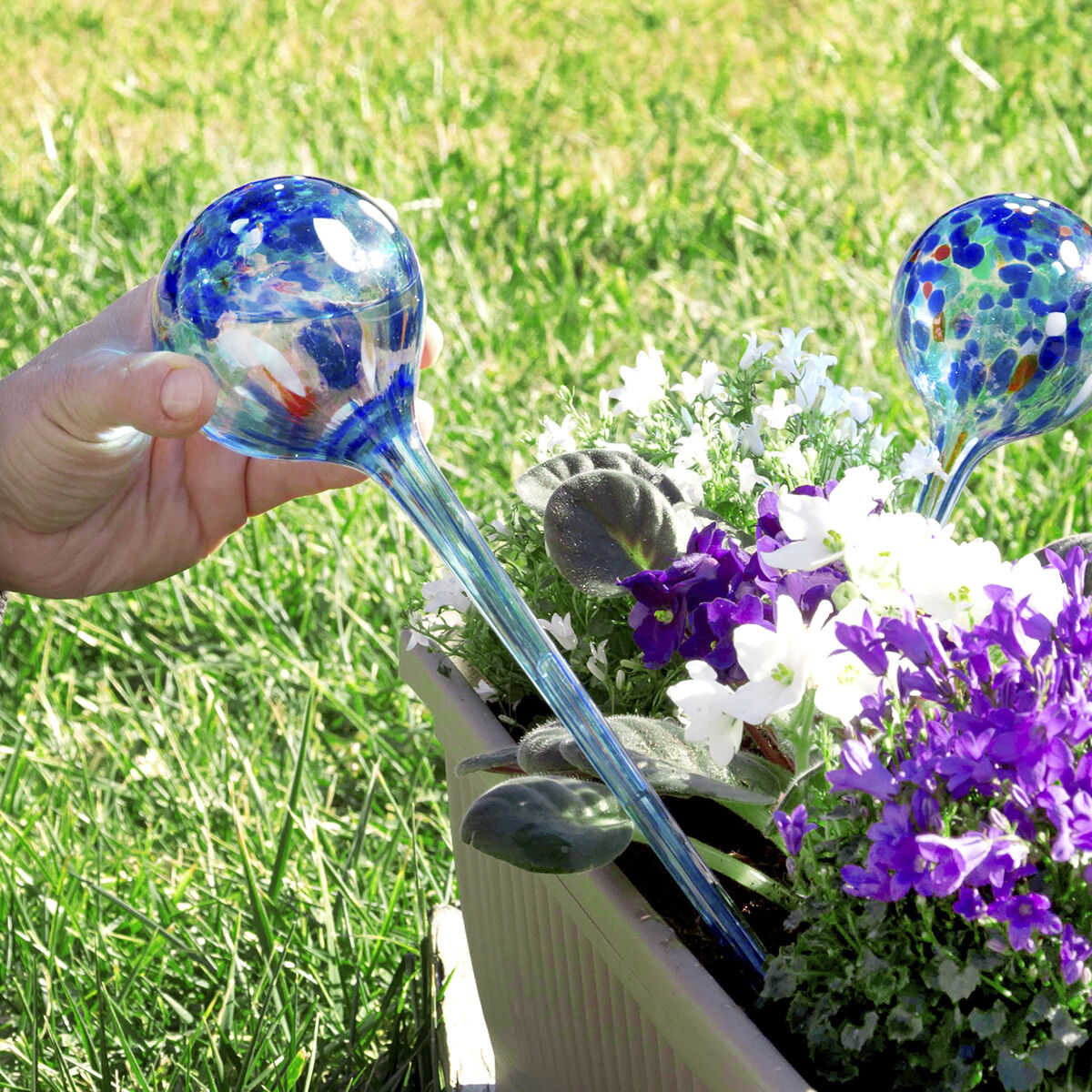 Globos de Rega Automática Aqua·Loon InnovaGoods 2 Unidades - EcoNest