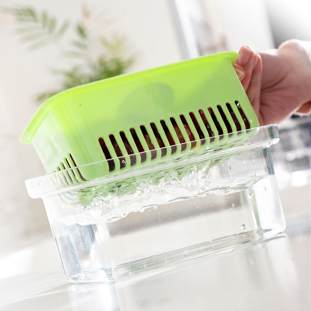 Recipiente para Conservar Alimentos Prefo InnovaGoods - EcoNest