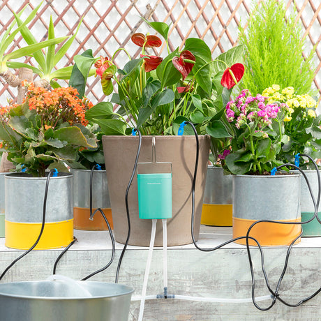 Sistema de Rega Automática por Gotejamento para Vasos Regott InnovaGoods - EcoNest