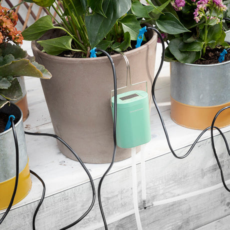 Sistema de Rega Automática por Gotejamento para Vasos Regott InnovaGoods - EcoNest