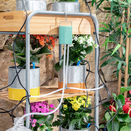Sistema de Rega Automática por Gotejamento para Vasos Regott InnovaGoods - EcoNest